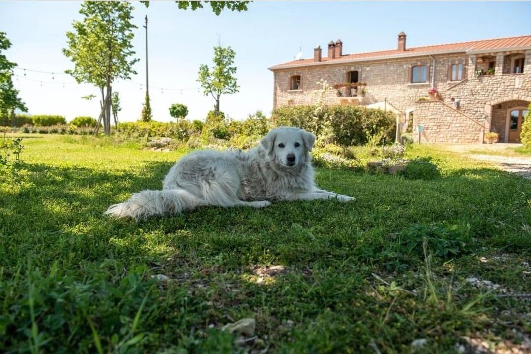 Masseria Fontana Dei Fieri Pietrelcina Bagian luar foto
