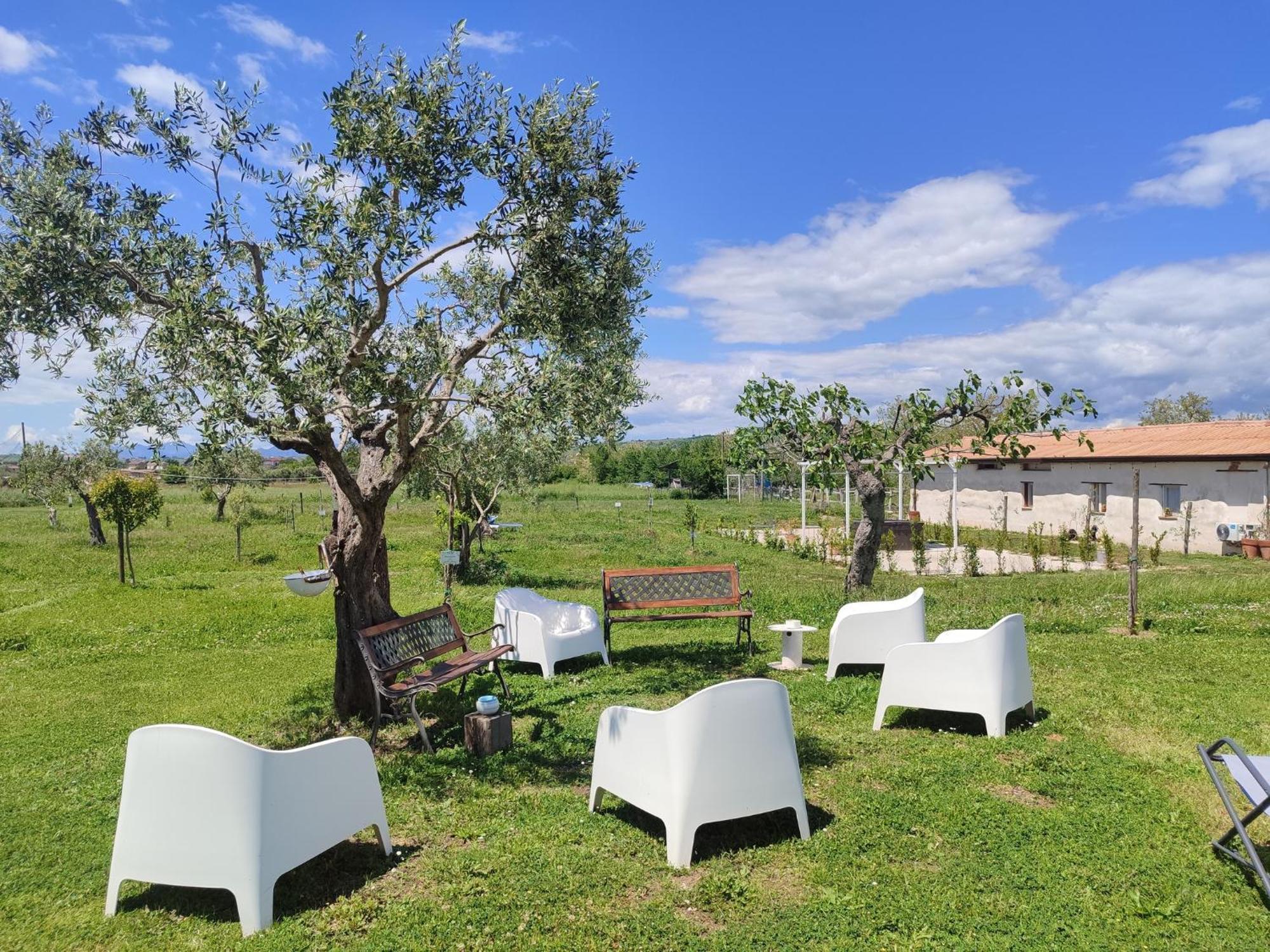 Masseria Fontana Dei Fieri Pietrelcina Bagian luar foto